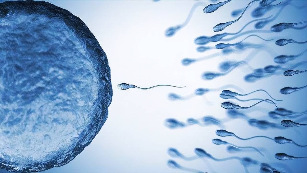全球男性精子量告急_精子量射入不够会怀孕吗_锌硒宝吃了精子量反而少了