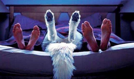 在涂磊主持的《完美告白》中,就有一段这样的故事.