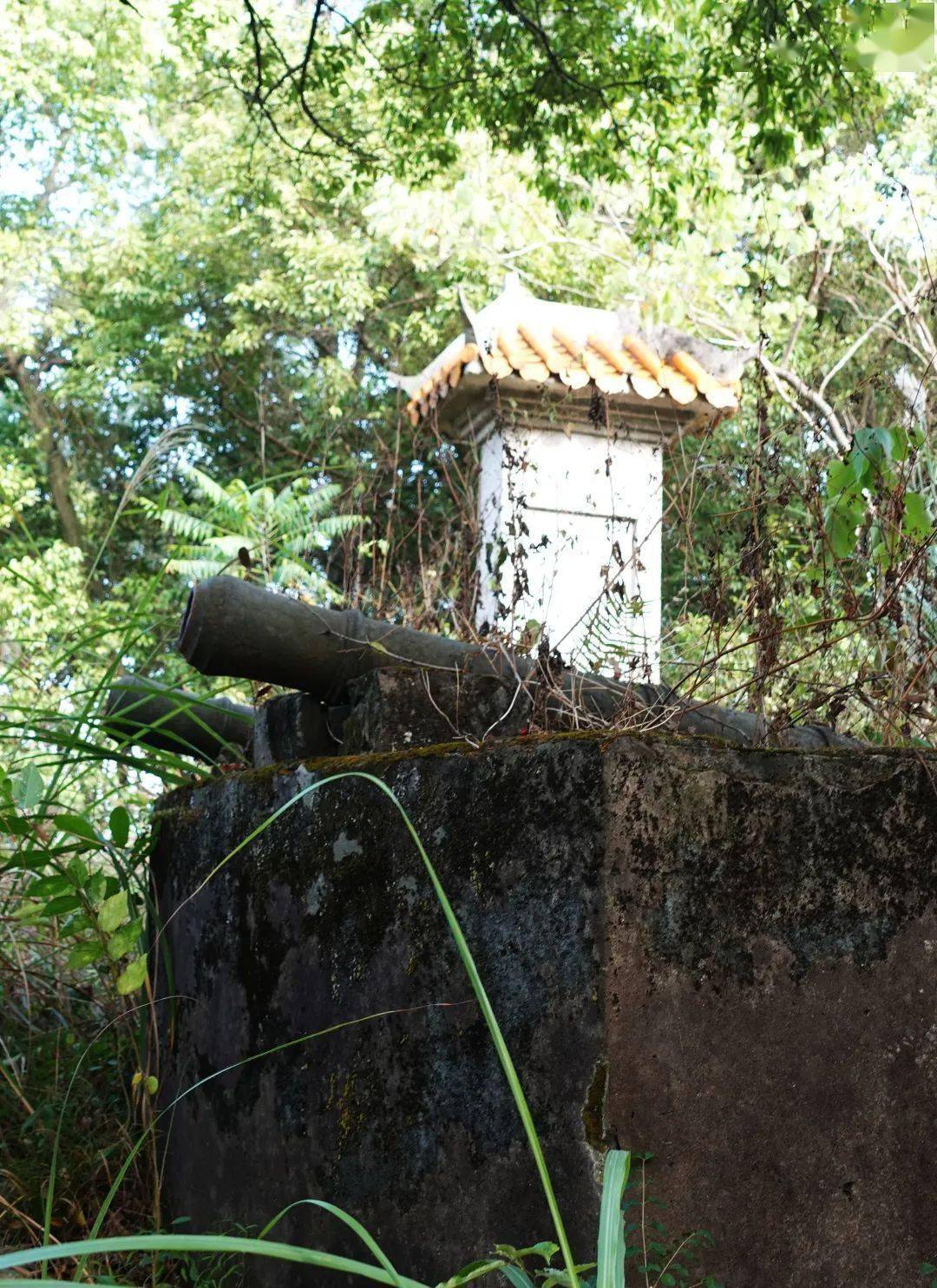 蒙山这座炮台…你还有记忆吗?_历史_小时候_山坡