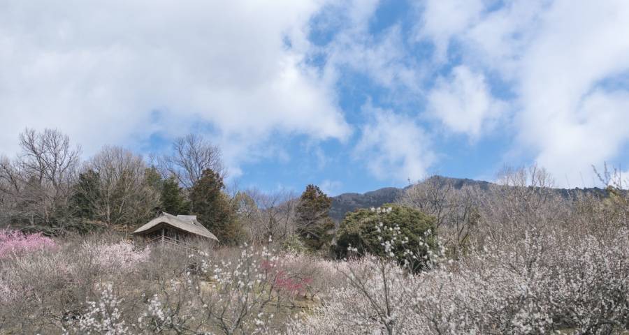 “靠天吃饭”的空调产业在2023年必有恶战-家电圈官网