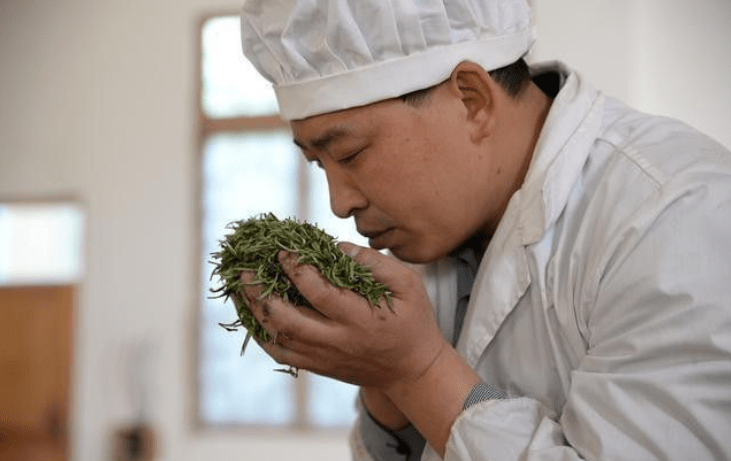 茶丨闻茶香,茶的香气,到底要怎么闻?