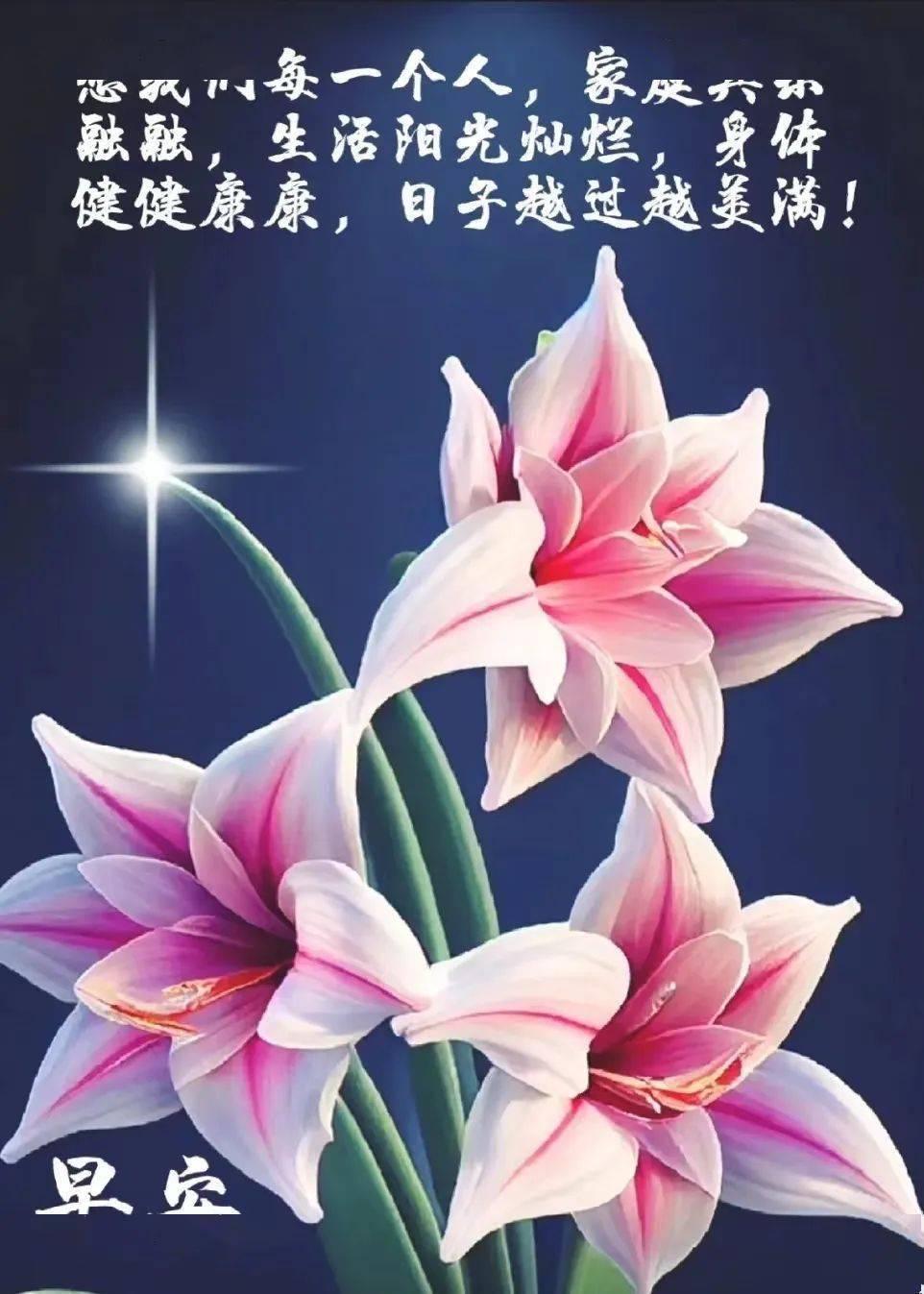 祝福_问候_缘分