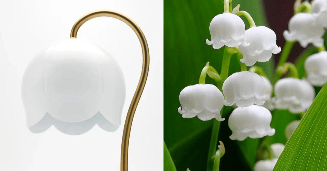 120张图——仿生设计,精妙绝伦!_自然_造型_形态