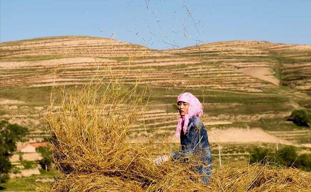 爱情最好的样子:《红花绿叶》中,残疾男人和美貌女人的相濡以沫_阿西
