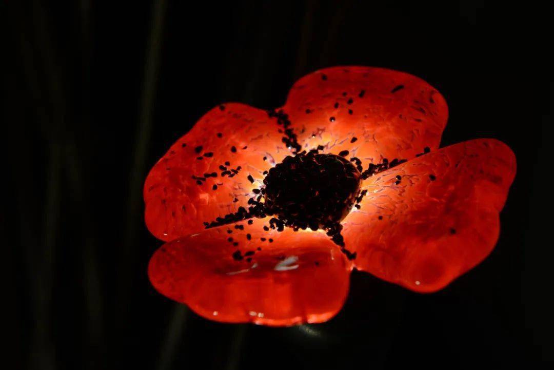 120张图——仿生设计,精妙绝伦!_自然_造型_形态