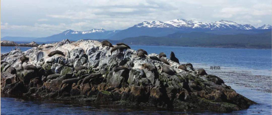 最南端的人类居住地 ——火地岛_南极_世界_寒带