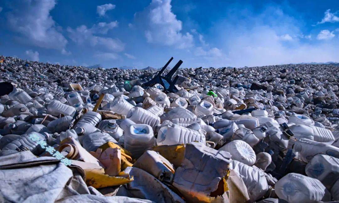 都在说降解塑料可堆肥,你没见过的堆肥箱,它来了!