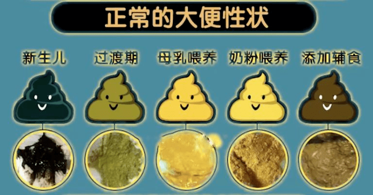 【能力作风建设】宝宝便便的“小秘密”_奶粉_绿色_食物