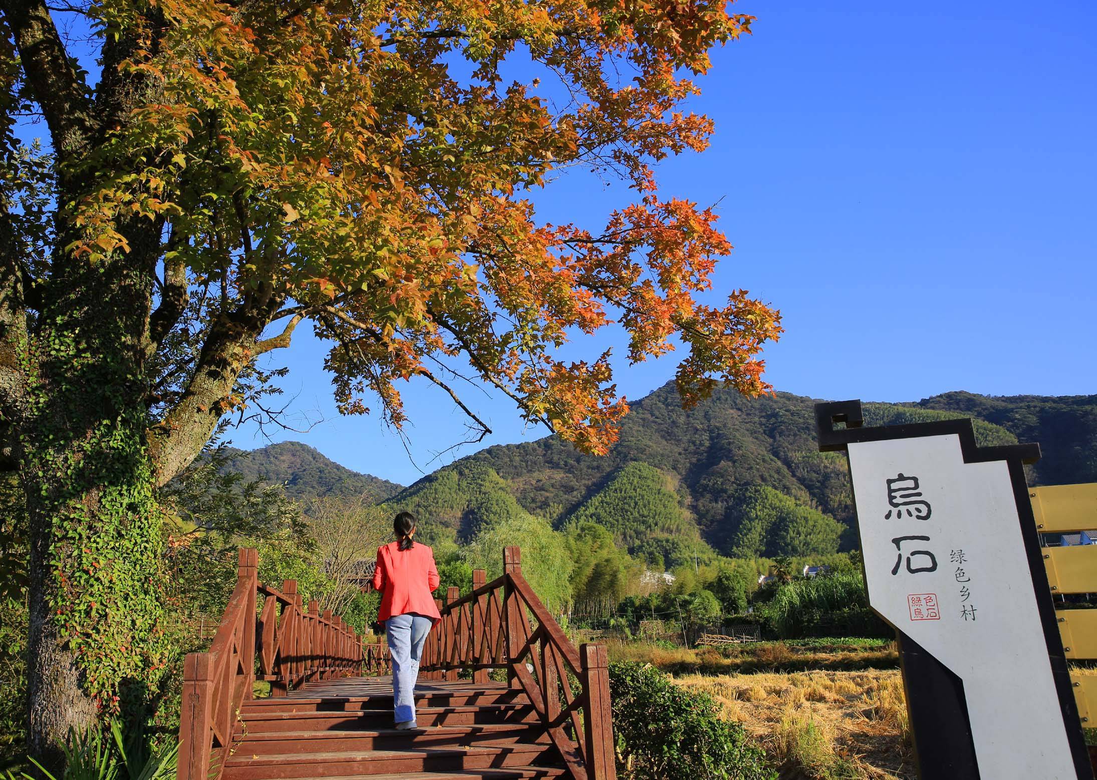 江西德兴乌石村,不盛产黑石,却与官帽相连,环境如度假村_村庄_乡村游