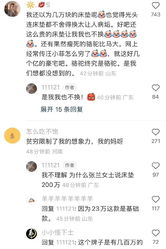 学会了吗（大s代言的家具品牌）大s代言的家纺品牌，(图10)