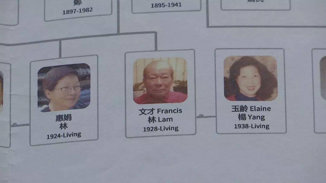 2018年10月,安静的林园突然迎来一位特殊的客人.