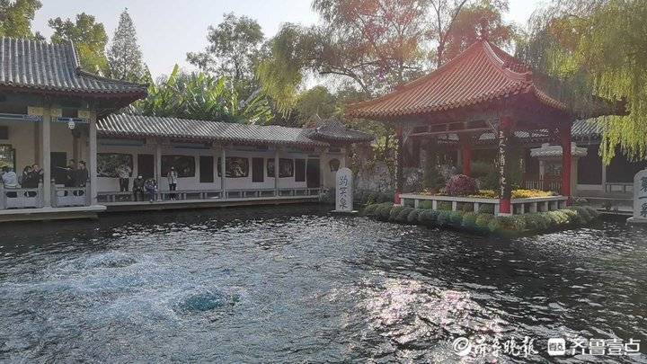 擦亮“天下泉城”名片,讲好黄河故事!济南这样提升文化软实力_工作_泉水_保护