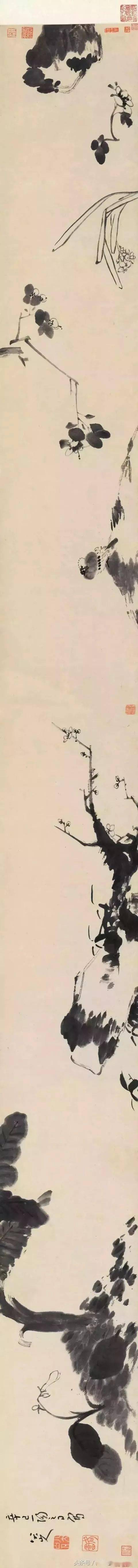 八大山人最神韵之花鸟长卷！（合集）_搜狐网