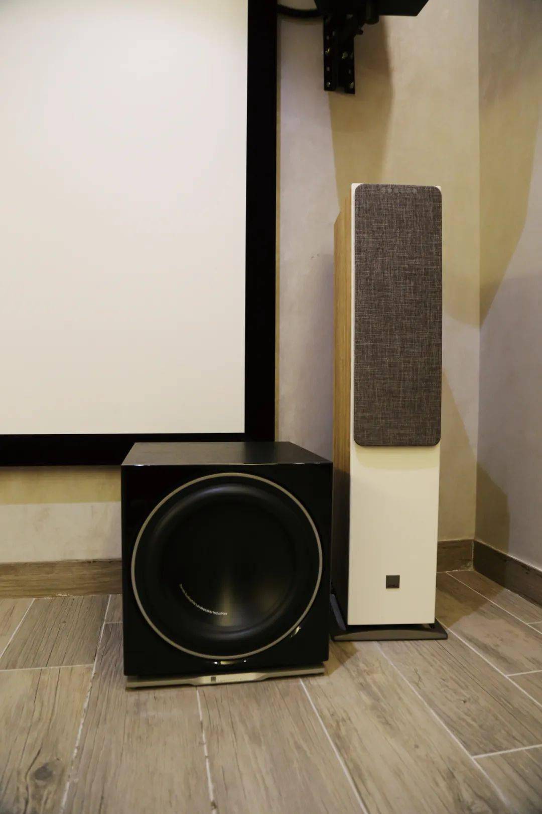 4杜比全景声影院 ktv随心唱,全宅音乐自由听 佛山华仕半山别墅智能