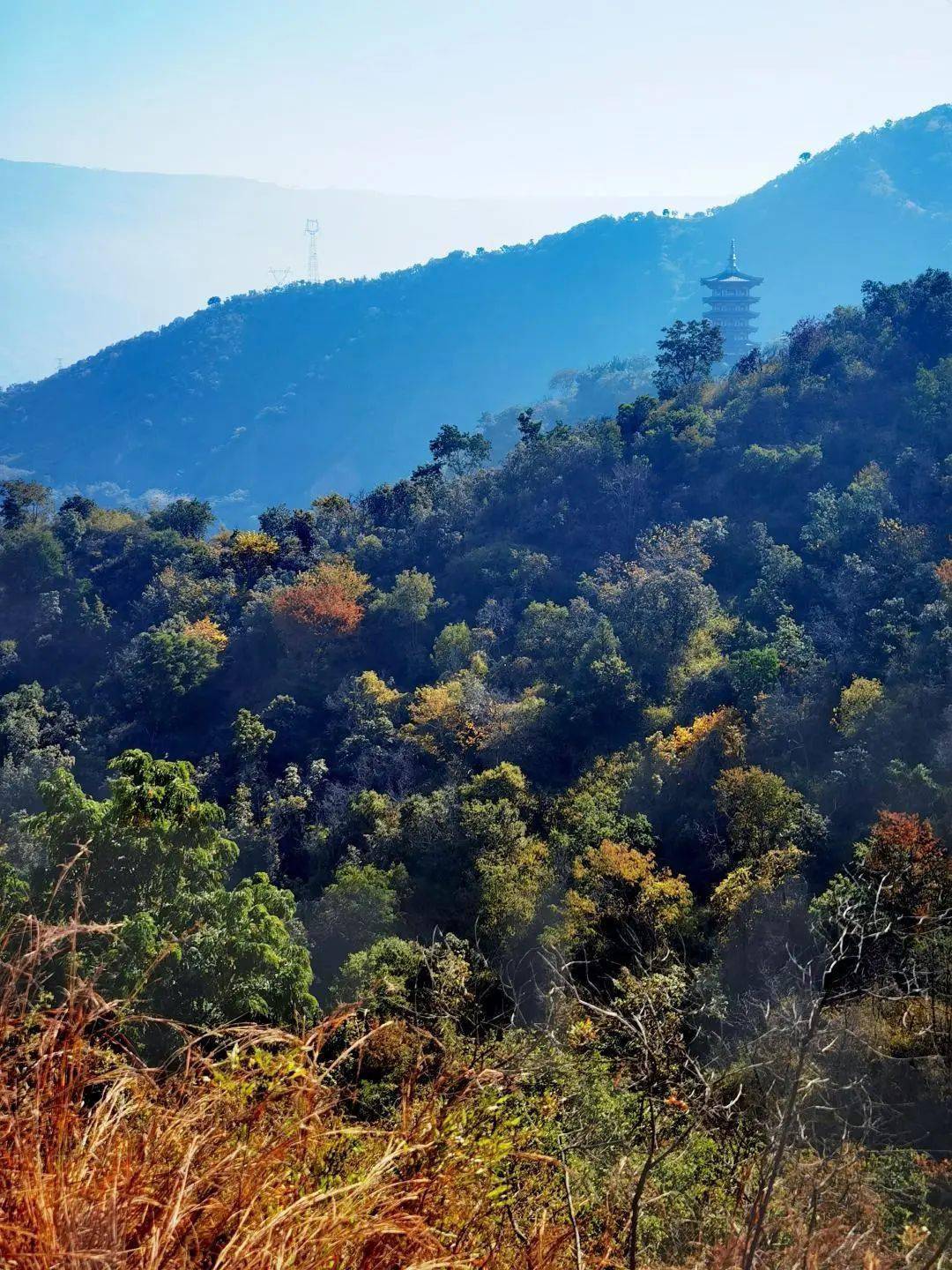 【攀枝花·图说】:东华山"层林尽染"_登山_油彩_黄色