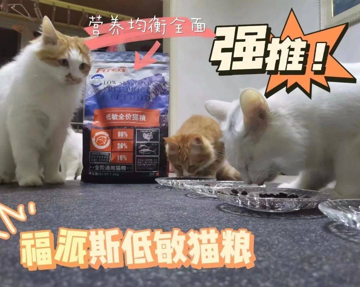 给小猫起名字_小猫起名字寓意好_小猫起名字大全可爱