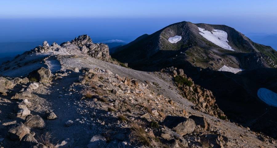 嘲笑国美不如寻找家电零售的“自救路”-家电圈官网