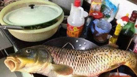 原创
            搞笑图片幽默段子笑话：媳妇，你要煮全鱼，这锅太小了吧？
                
                 