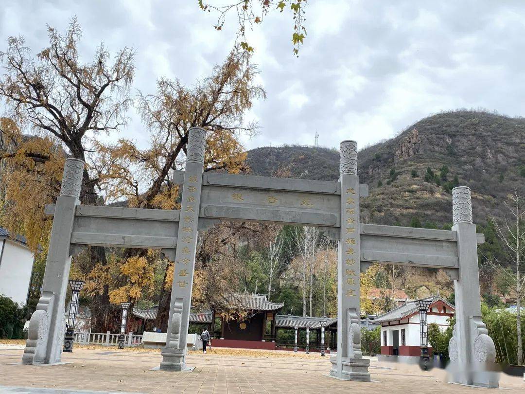 寻峪村里古银杏 沧海桑田两千年_故县镇_枝条_洛宁县