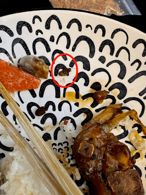 蟑螂腐蚀电话机怎么办(蟑螂爬进手机孔怎么办)