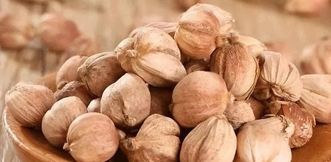 用了30年的肉蔻和豆蔻,才知道二者的区别,原来一直都用错了_香料_香气