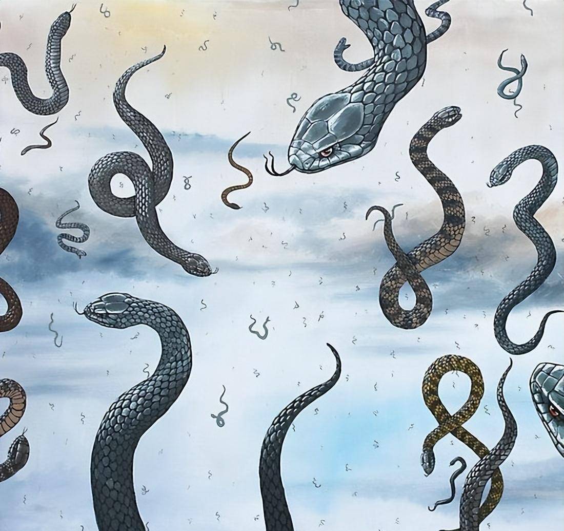 蛇雨同样在,1876年,肯塔基州下了一场肉雨,无数