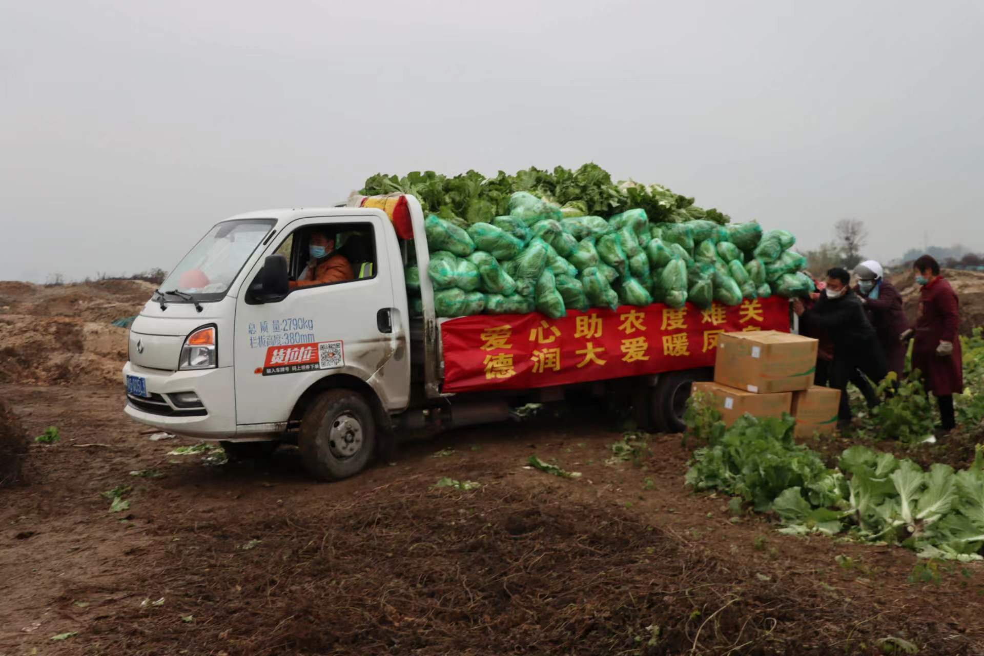 新乡耿黄镇耿庄村:帮助农地承包户解决滞销蔬菜 爱心助农获好评