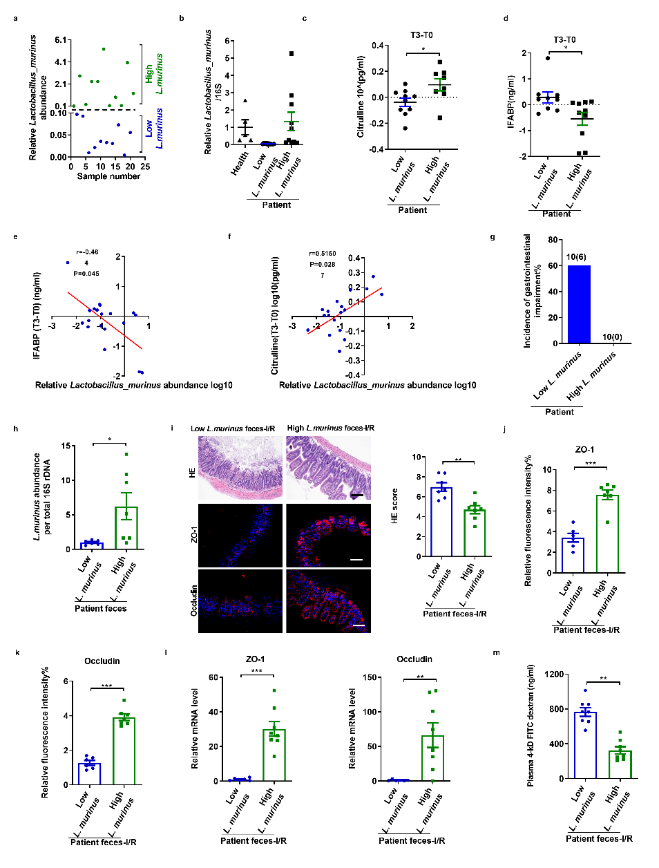 鼠乳杆菌通过tlr-2信号促进m2型巨噬细胞释放il-10