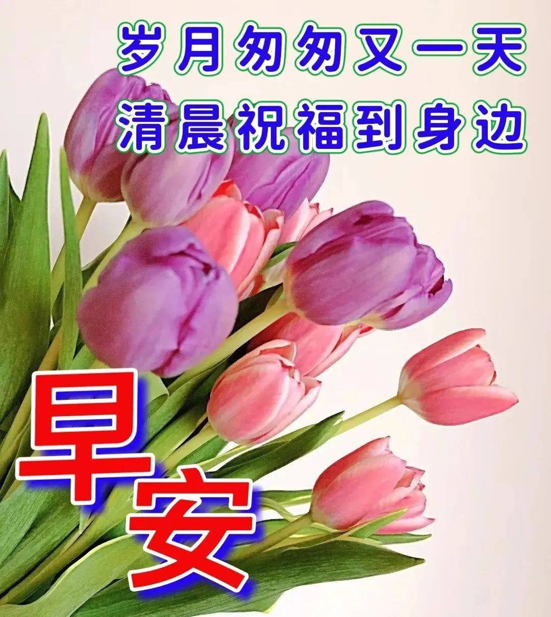 2022新年早安祝福图片图片