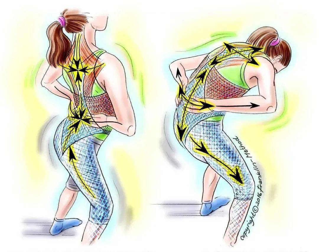 胸腰椎筋膜是如何导致疼痛的_组织_肌肉_作用