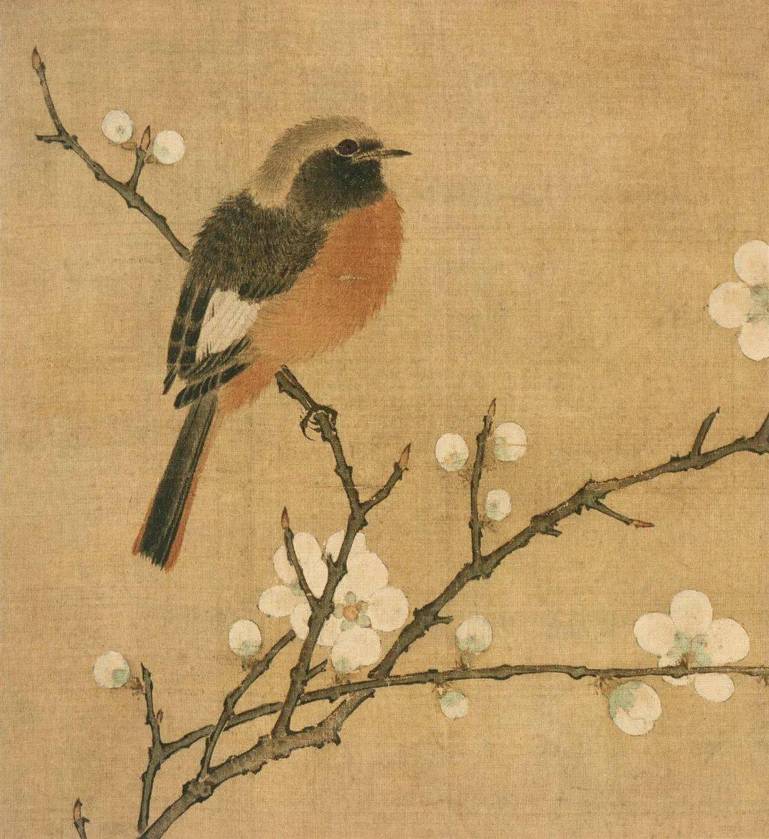 运以精心,出以妙笔,宋代院体花鸟画,你都了解多少?_黄氏_作品_画风