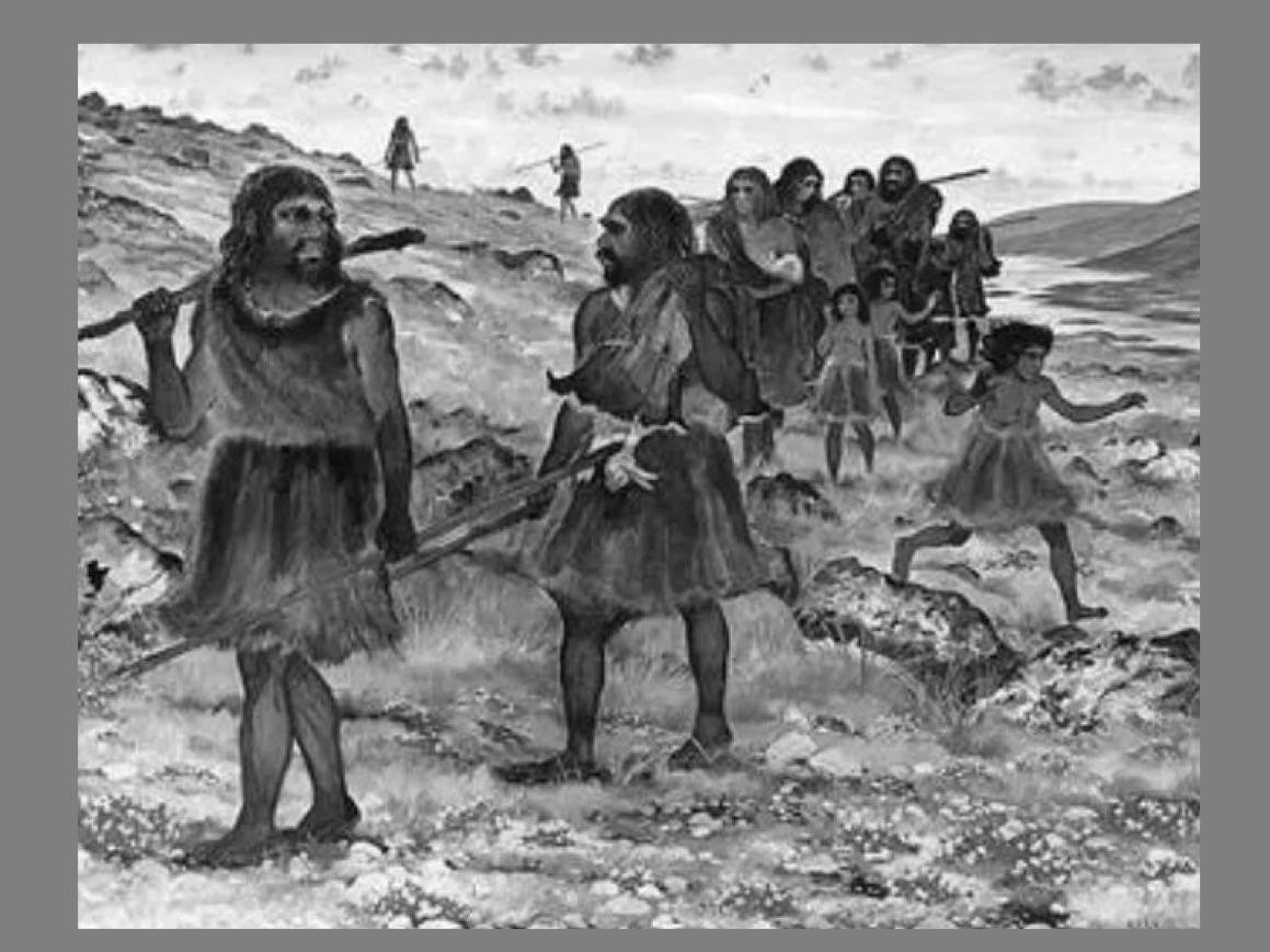 吕厚远:气候环境和农耕文化奠定了中华文明未断基础|讲堂159-1③_人类