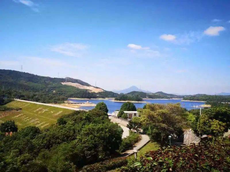 诗词||念奴娇 61 惠女水库(外二首)