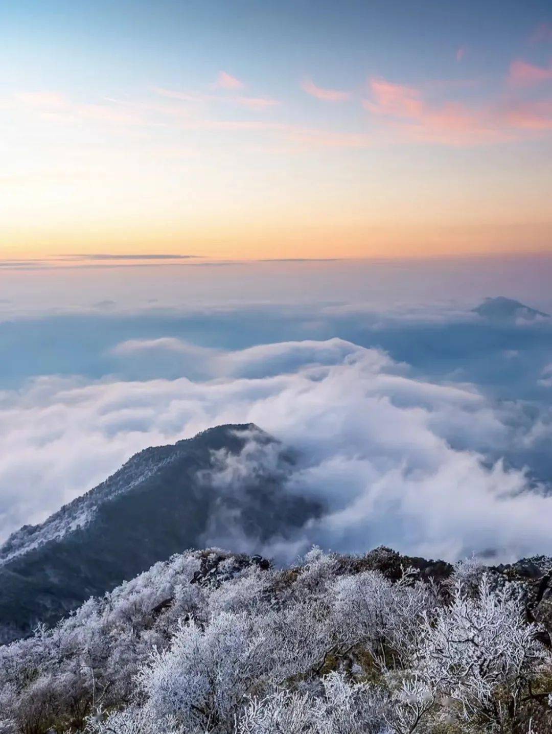 圖源:小紅書@魚尾葵踏雪徒步,登頂雲海清涼峰整個山體常年雲霧繚繞