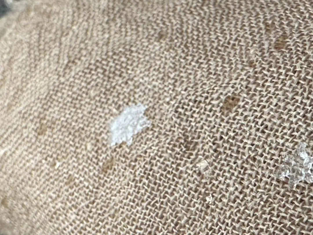 申城今年秋天的第一场雪,来得比常年稍早一些_气温_影响_冰粒