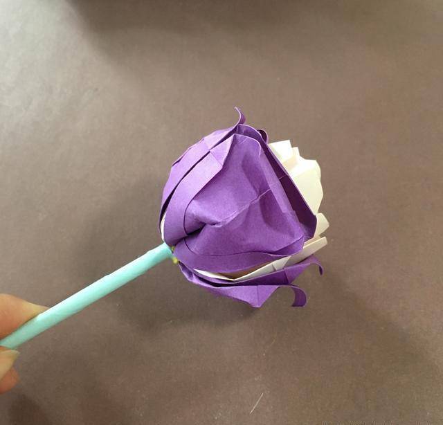 花朵折纸:用a4彩纸折的双色玫瑰花_对折_颜色_cm