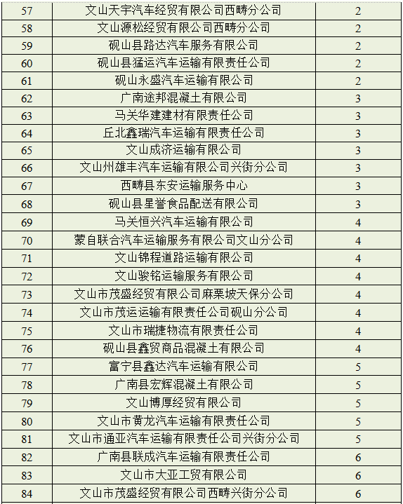 文山2人被终生禁驾!_违法_车辆_道路