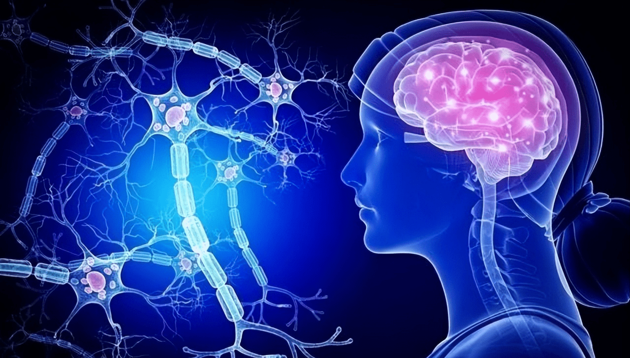 人类生活在高维生物的大脑里?列举相似特点_星系_神经元_天体