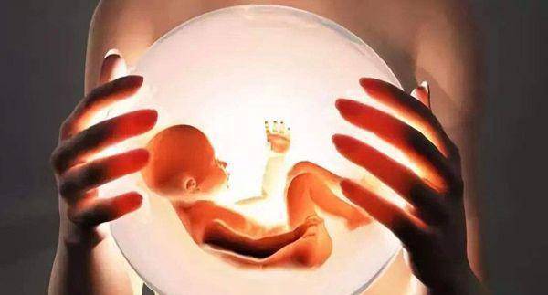 个月:胚胎只有一颗小黄豆芽那么大,开始继续生长,慢慢的就会变成胎儿