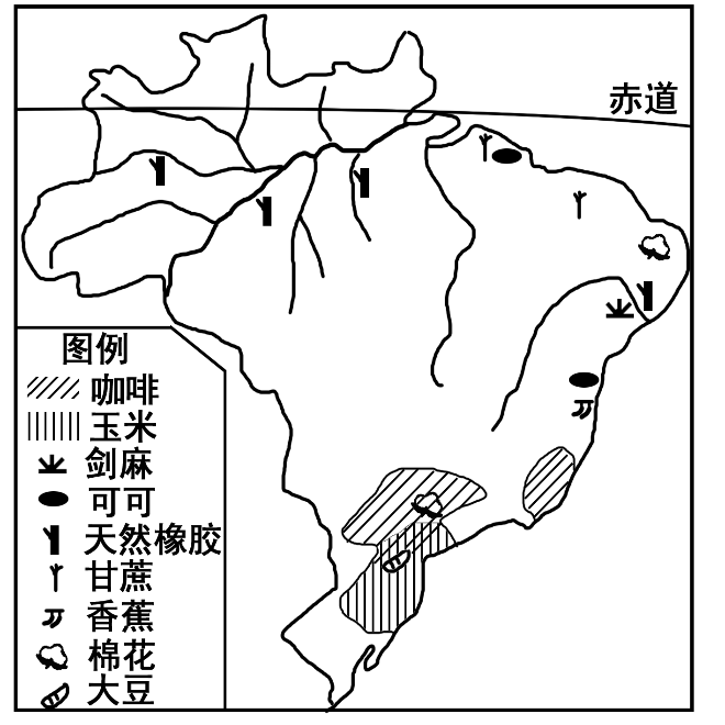 热带雨林三大分布区图片