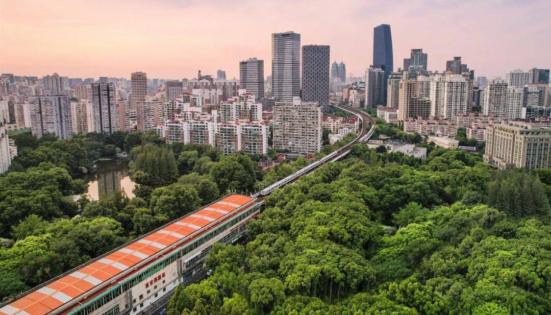 聚焦公共座椅,夜景灯光,水域环境…长宁区推出"十大专项行动"_市容