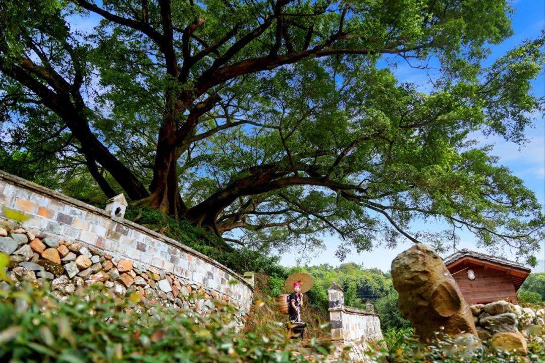 黄增雄(2157《路桥云雾间》李文金(1900《跨海雄姿》蓝章连(2091)