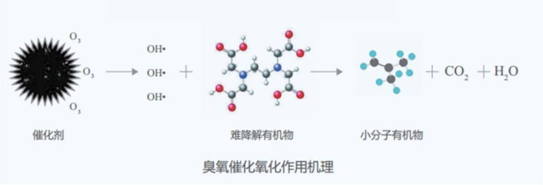 羟基自由基(·oh)氧化还原电位2