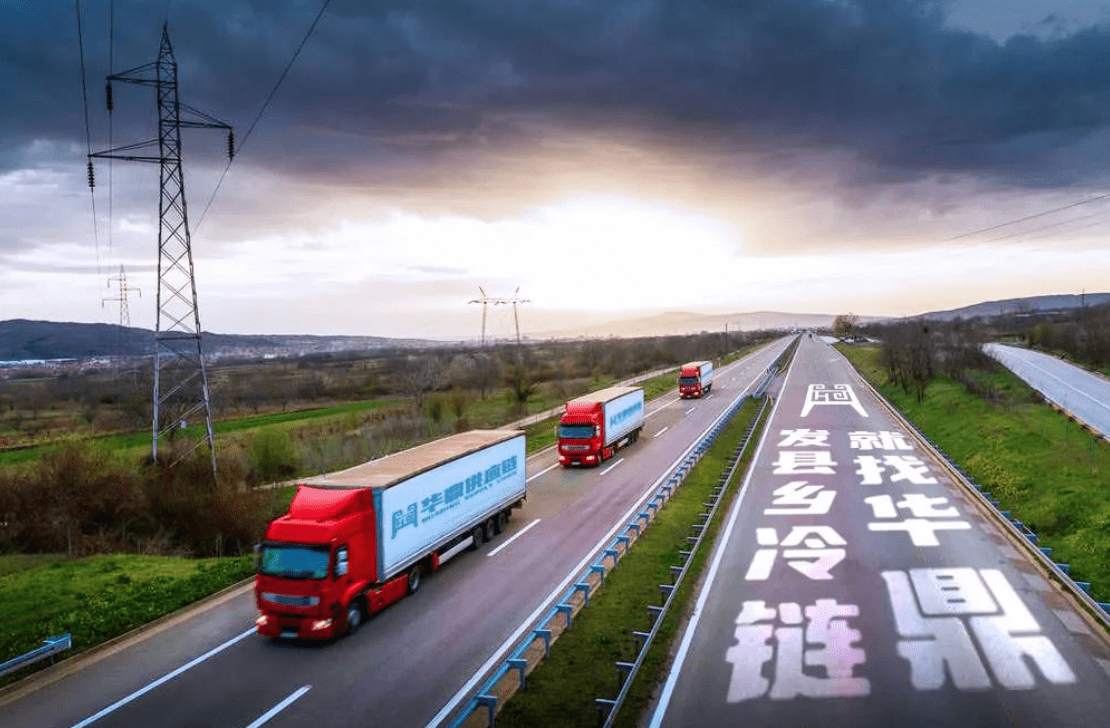 由预冷处理,冷链加工,冷链储存,冷链运输和配送及冷链销售几方