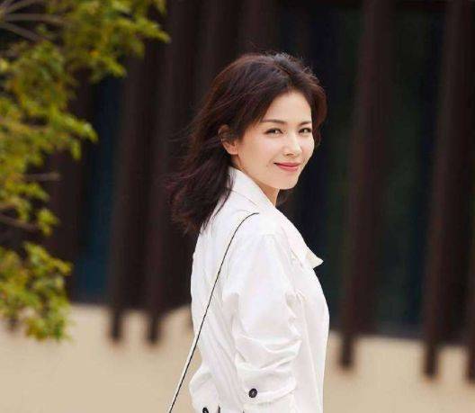 刘涛曾与他共枕4年,却转头和王珂结婚,今年过半百没结婚_李玮珉_角色