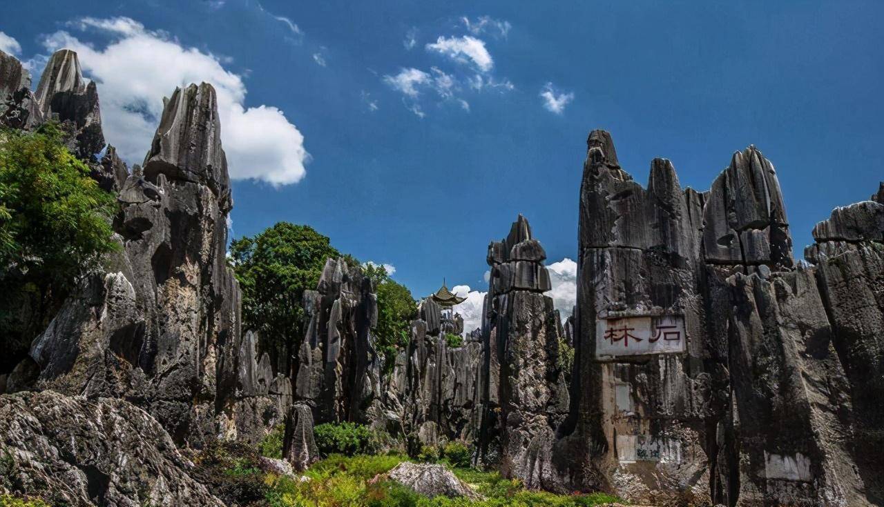 走红:藏有地球近三亿年演化的杰作,被称为第一奇观_石林_石峰_景点