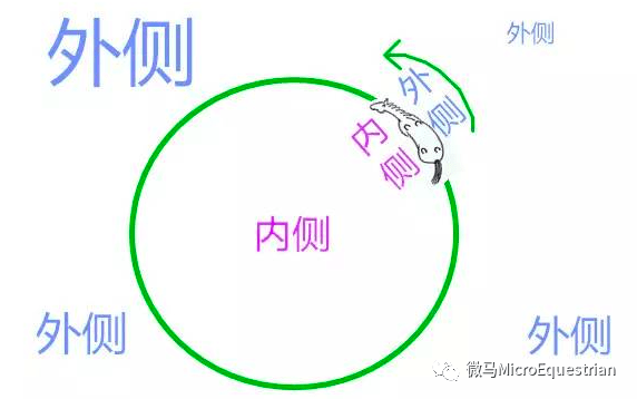 不再含糊~~~你在马术课上听见的的10个专业名词_外方_教练_的要求
