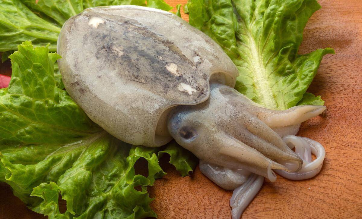 四川传统名菜之"东坡墨鱼"一道与北宋大文豪苏轼有关的风味佳肴_处理