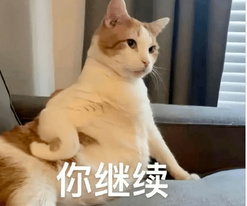 可爱沙雕表情包 i 不对劲.快跑_什么_熊猫头_帅哥