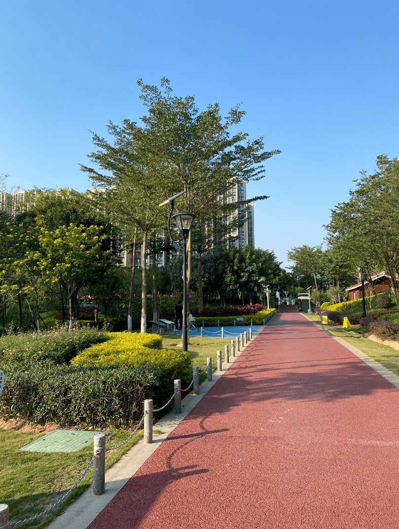 免费的厦门网红打卡点,高颜值的公园,夜市小吃.就等你了!